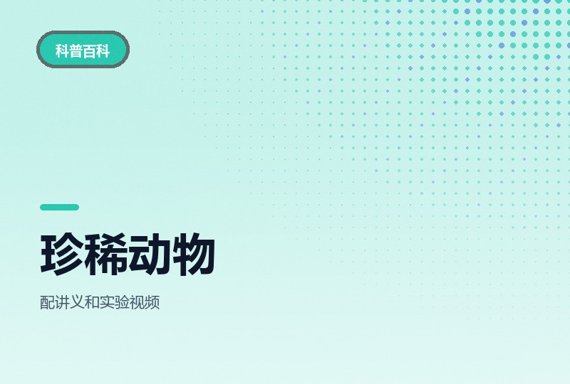 珍稀动物在哪里：四讲讲义加教具图片-晓之以ray资源网