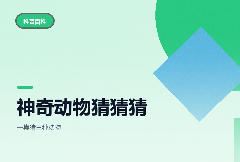 《神奇动物猜猜猜》两季：每季26集-晓之以ray资源网