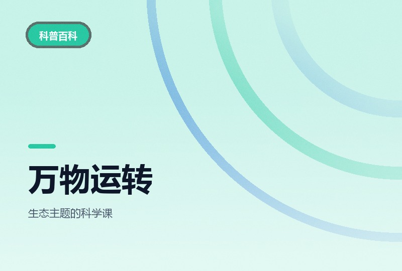 万物运转的法则：四讲讲义习题加纪录片-晓之以ray资源网