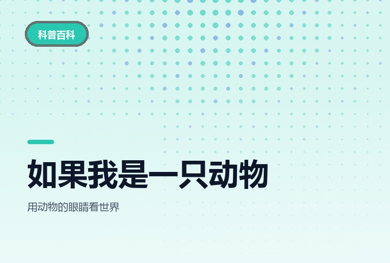 科普动画《如果我是一只动物》：第一视角讲-晓之以ray资源网