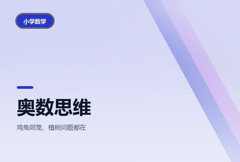 少儿奥数思维训练入门：十一讲视频课-晓之以ray资源网