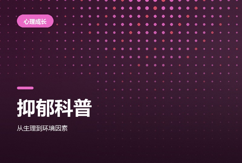 人为什么会抑郁：一本讲清成因的小册子-晓之以ray资源网